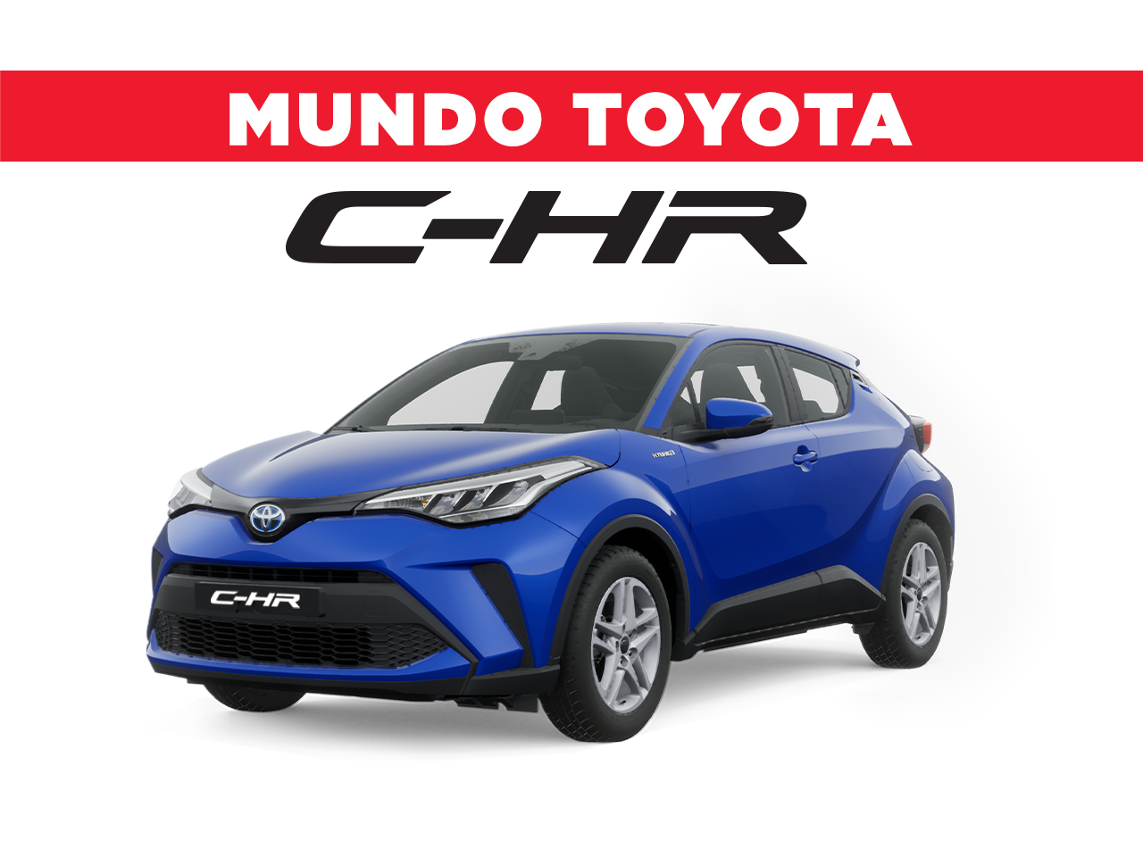 Toyota Costa Rica, Grupo Purdy